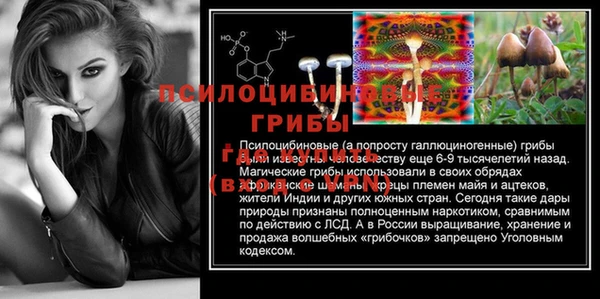 МДПВ Заволжск
