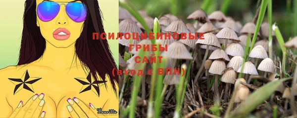соль ск Заволжье