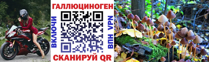 Галлюциногенные грибы MAGIC MUSHROOMS Губкинский