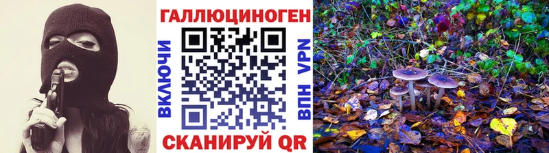 Купить  Губкинский  Галлюциногенные грибы Psilocybe 